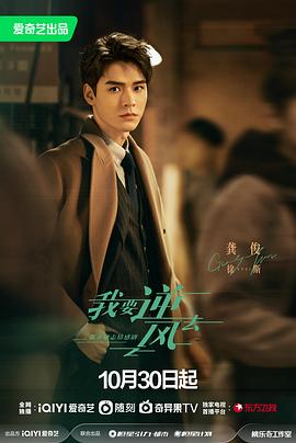 什么是搜索引擎优化(seo)